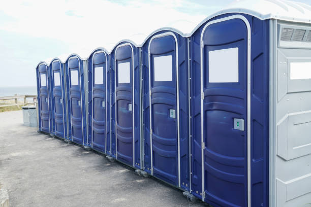 Best ADA-Compliant Portable Toilet Rental  in Pittsfield, IL